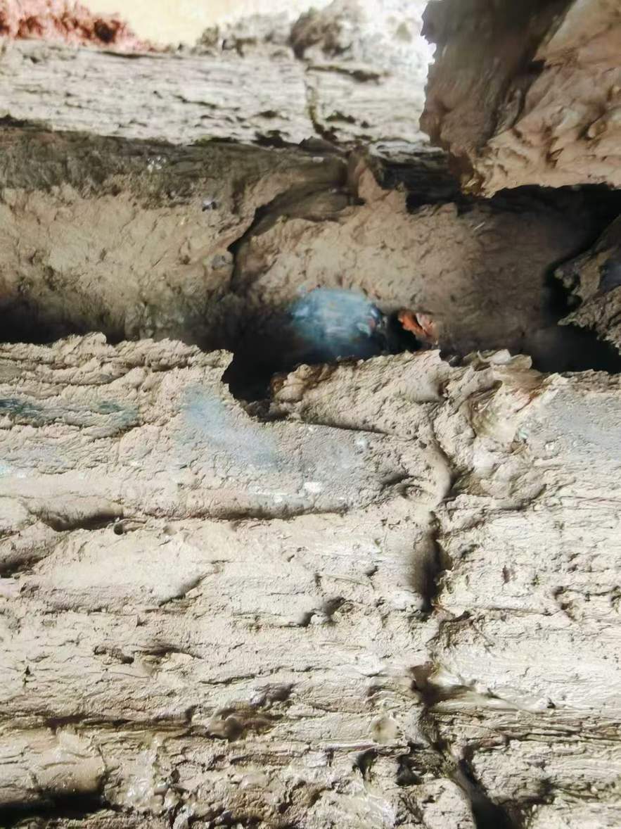 Buy XCMG XE75C Used Excavator / 7