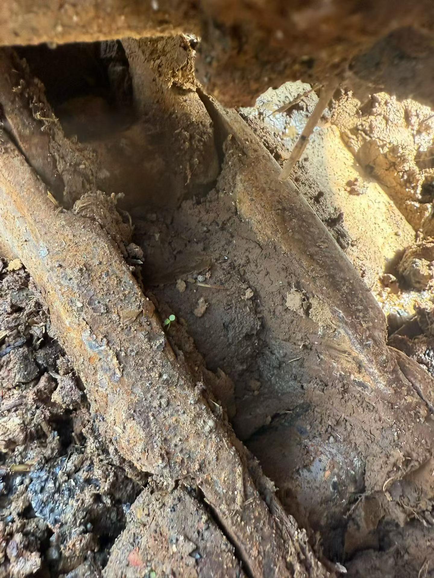 Buy Volvo EC55 Used Excavator / 4