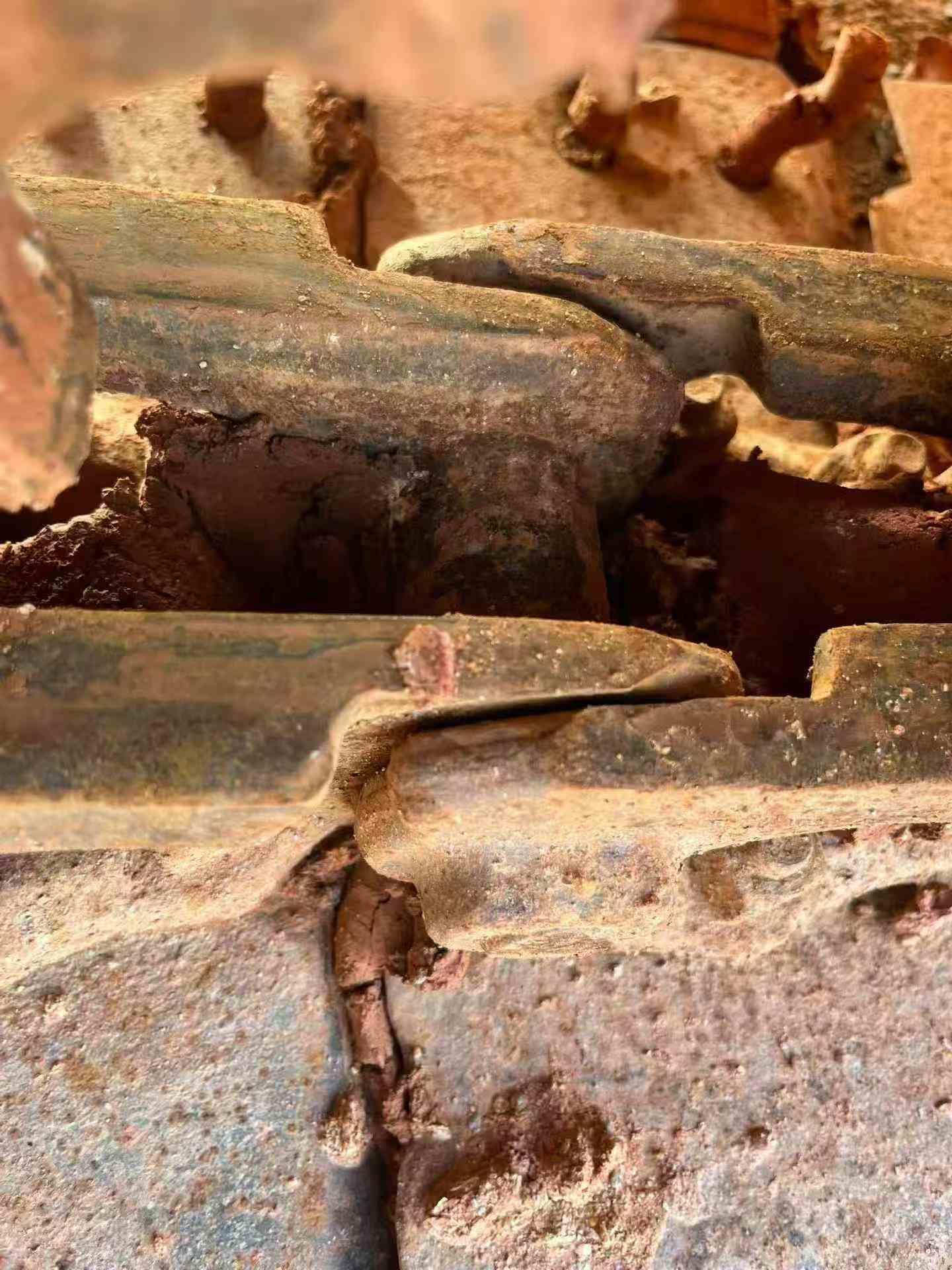 Buy Komatsu PC56-7 Used Excavator / 8