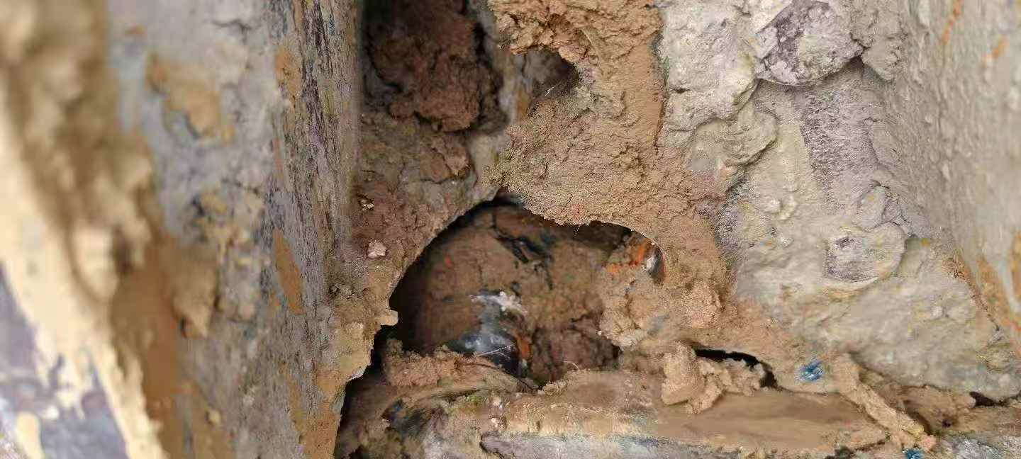 Buy Sany SY55 Used Excavator / 9