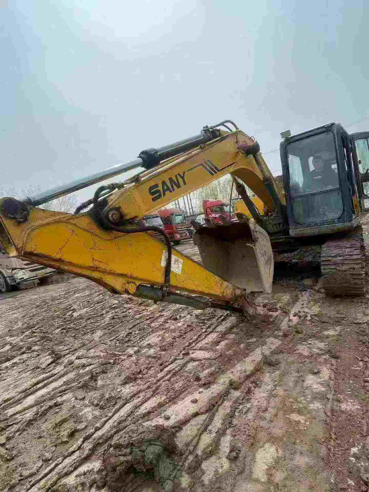 Buy Sany SY135 Used Excavator / 9