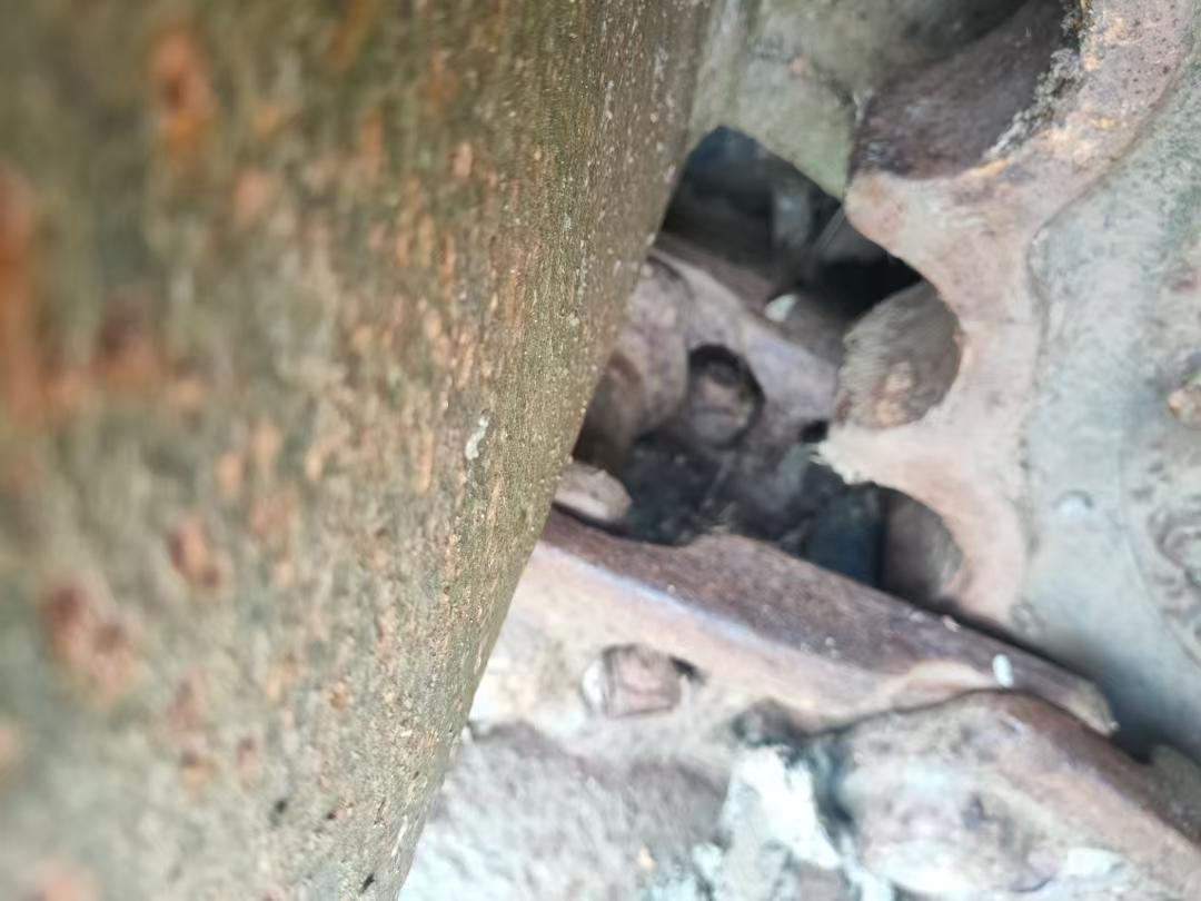 Buy Hyundai R210-5 Used Excavator / 2