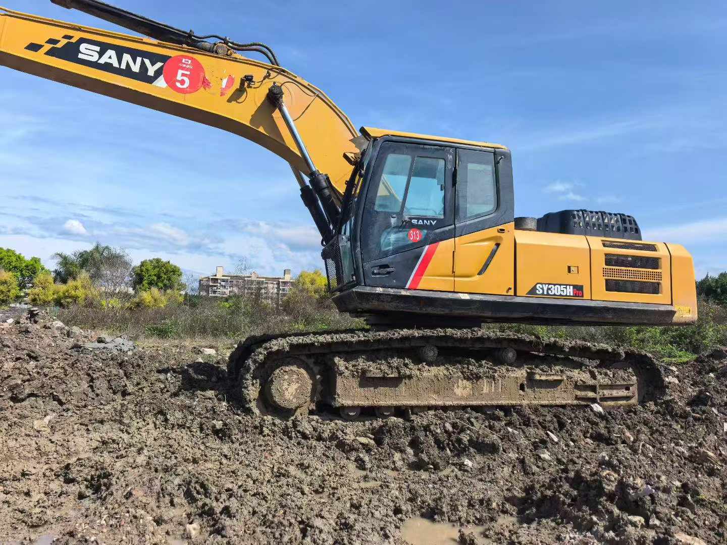 Buy Sany SY305C Used Excavator / 3