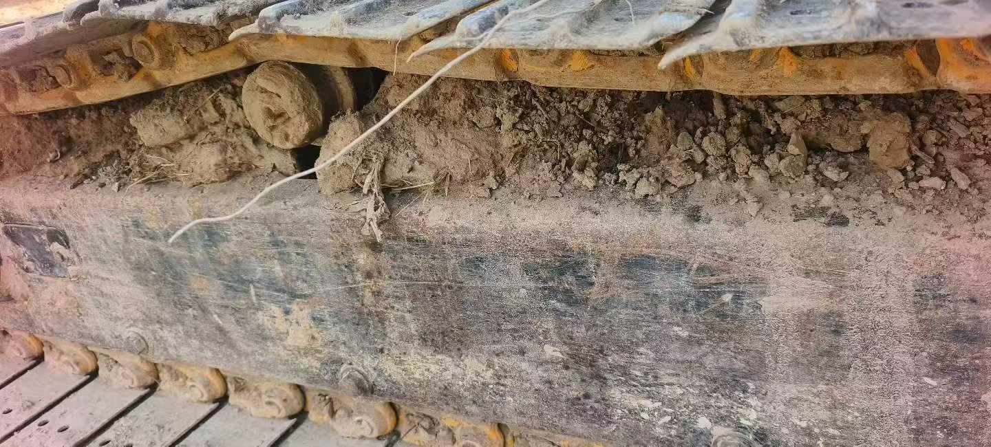 Buy Caterpillar 305.5 Used Excavator / 6