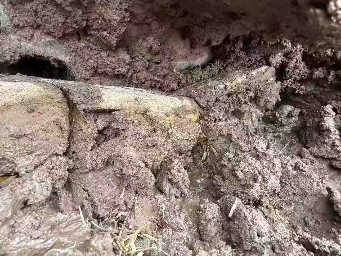 Buy XCMG LW60G Used Excavator / 4