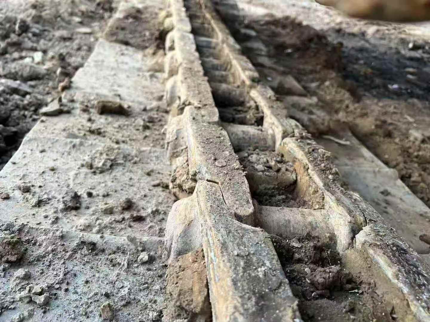 Buy Kobelco SK260 Used Excavator / 7