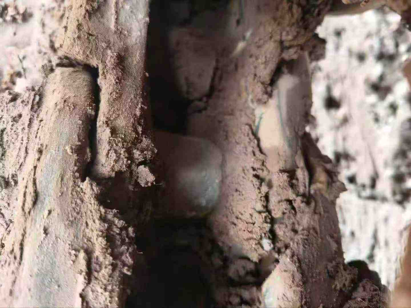 Compre Escavadeira Doosan DH55 Usada / 3