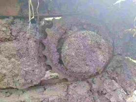 Buy Case CX80C Used Excavator / 9 Buy Case CX80C Used Excavator / 9