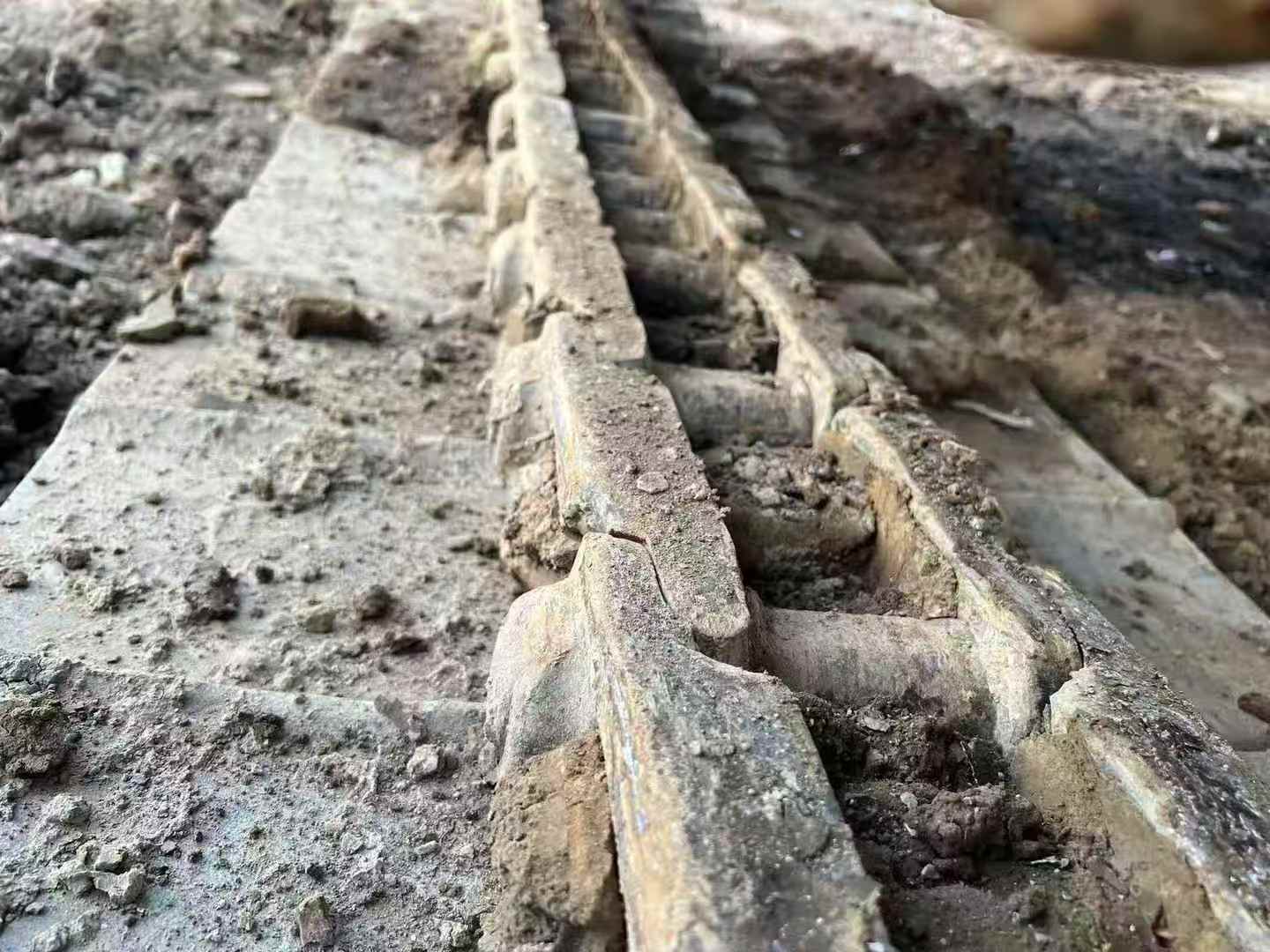 Compre Escavadeira Kobelco SK260 Usada / 7