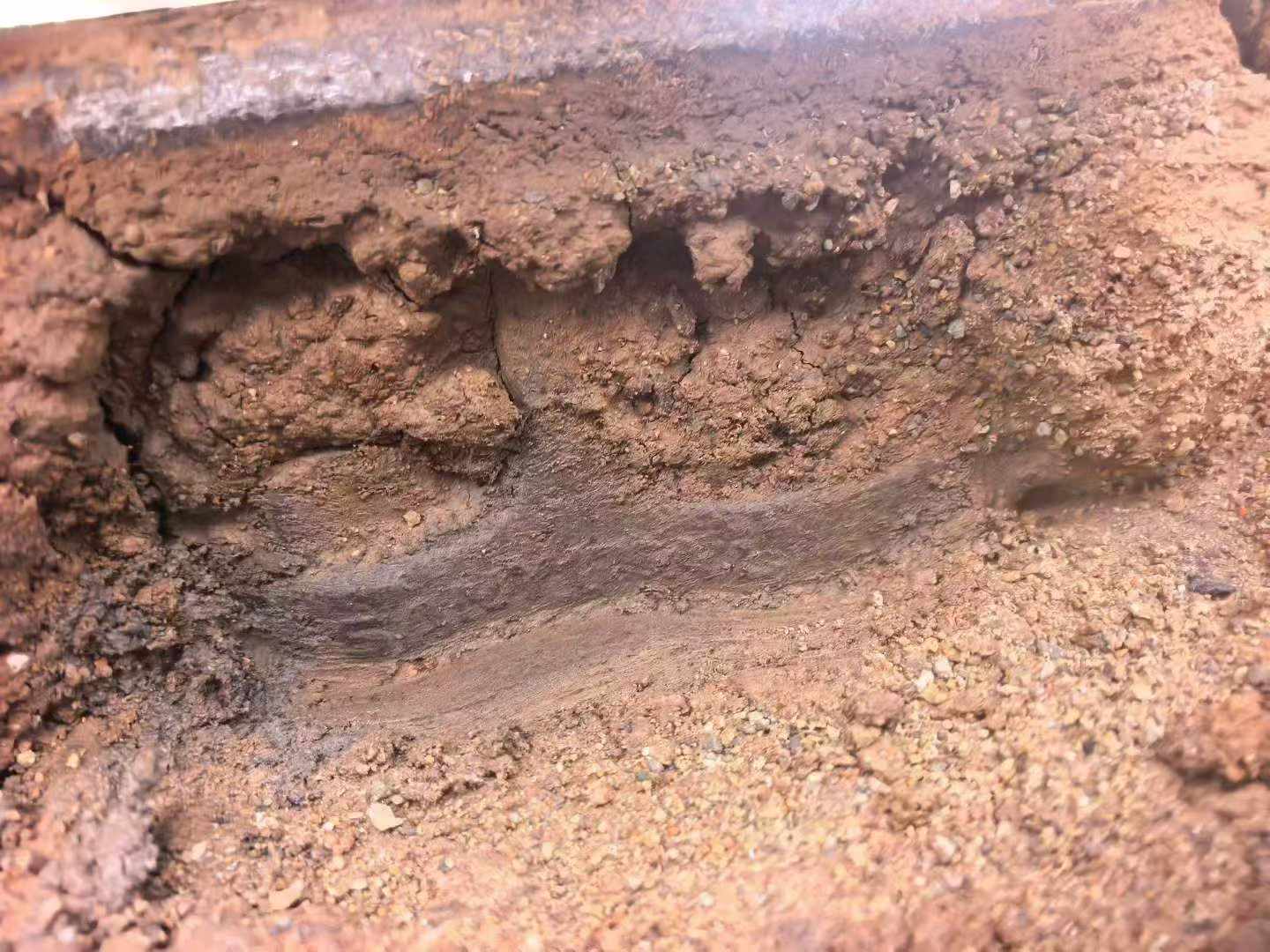 Buy Sany SY135 Used Excavator / 5