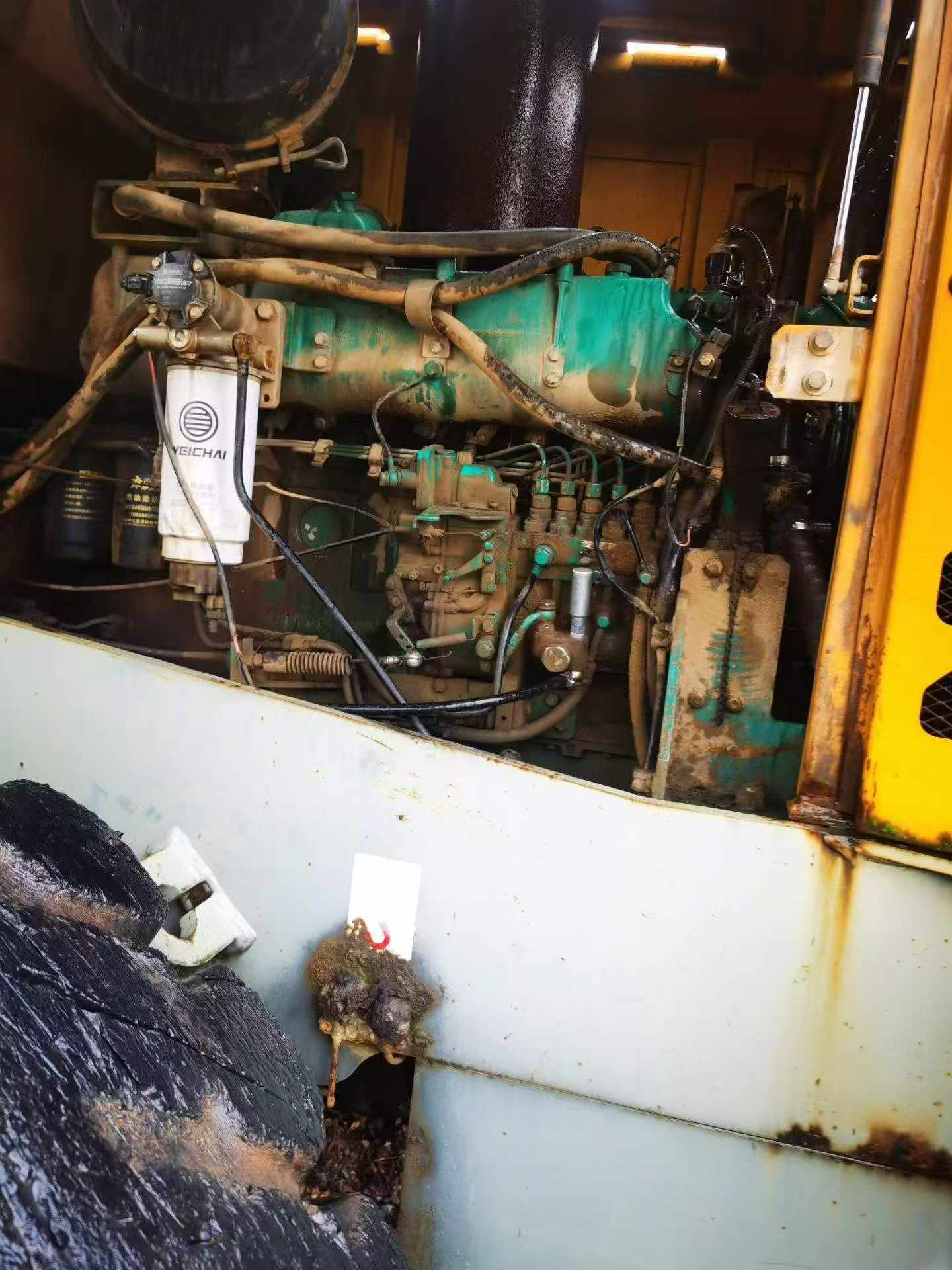 Buy SDLG LG956L Used Loader / 4