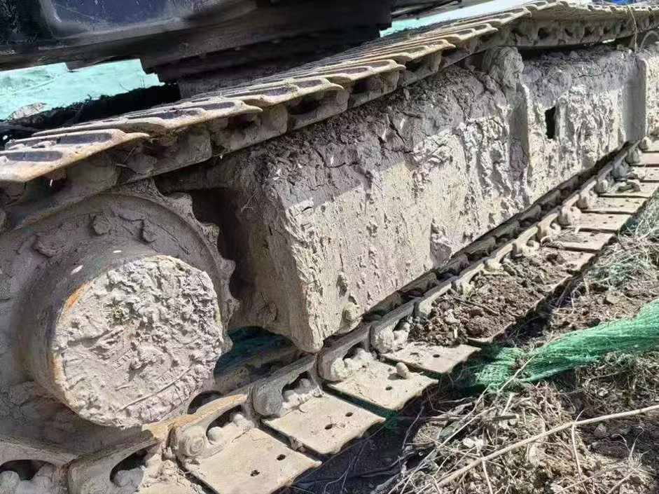 Buy Sany SY55 Used Excavator / 8