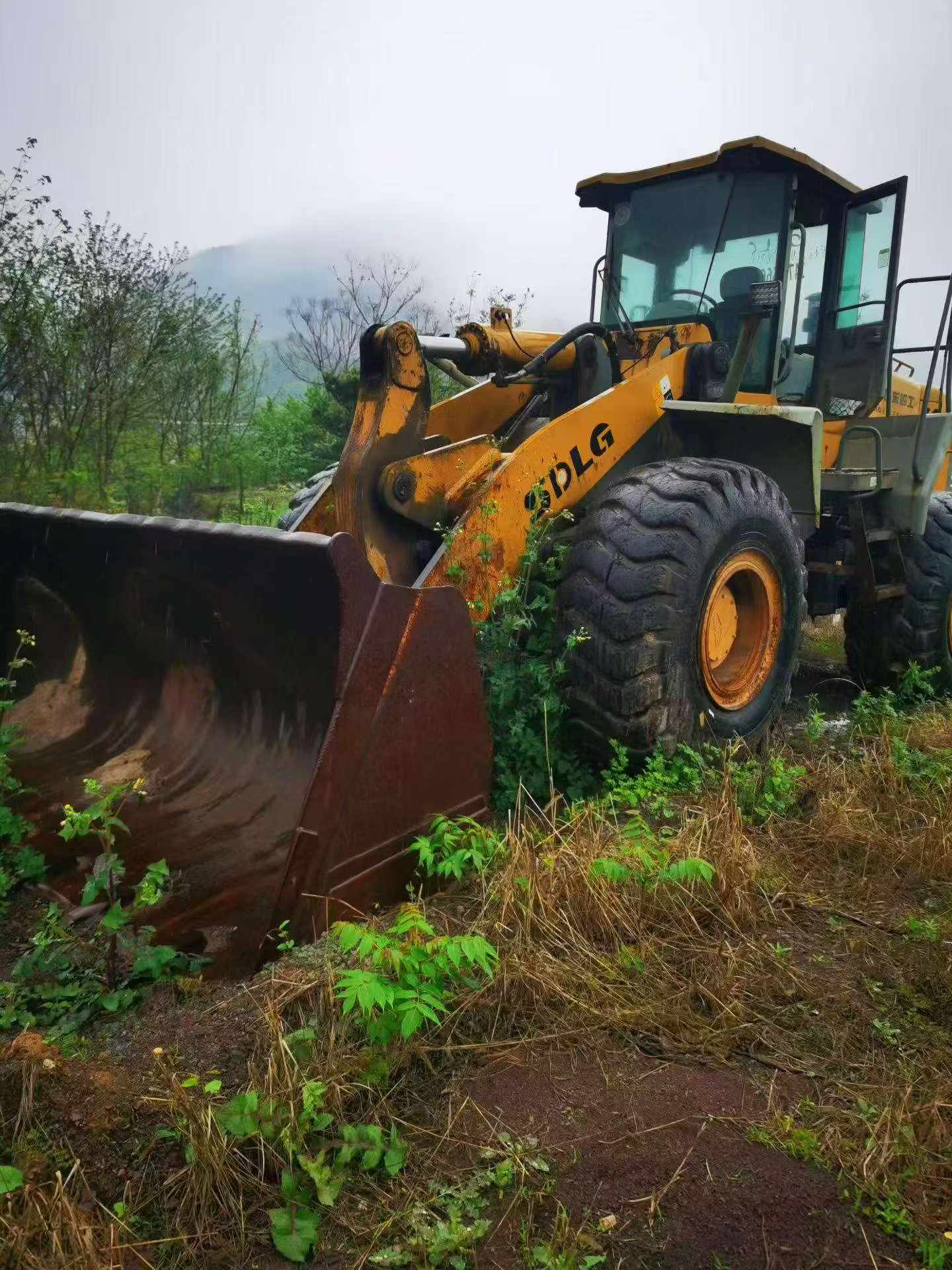 Buy SDLG LG956L Used Loader / 6