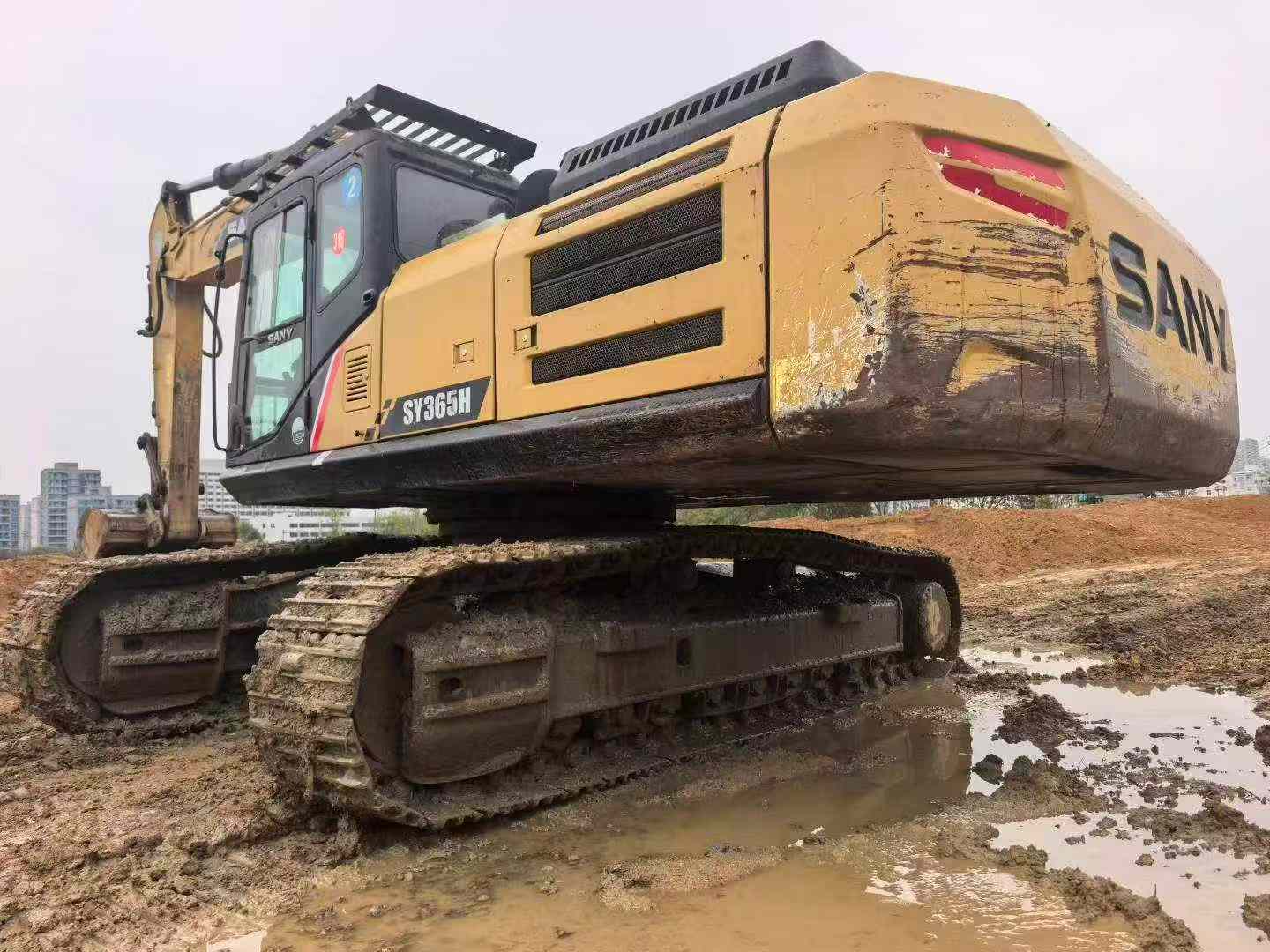 Buy Sany SY365C Used Excavator / 8