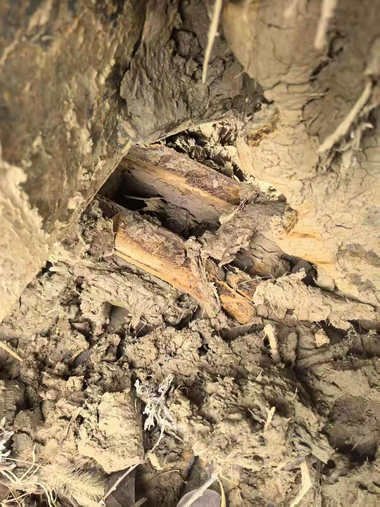 Buy Komatsu PC130-8 Used Excavator / 7