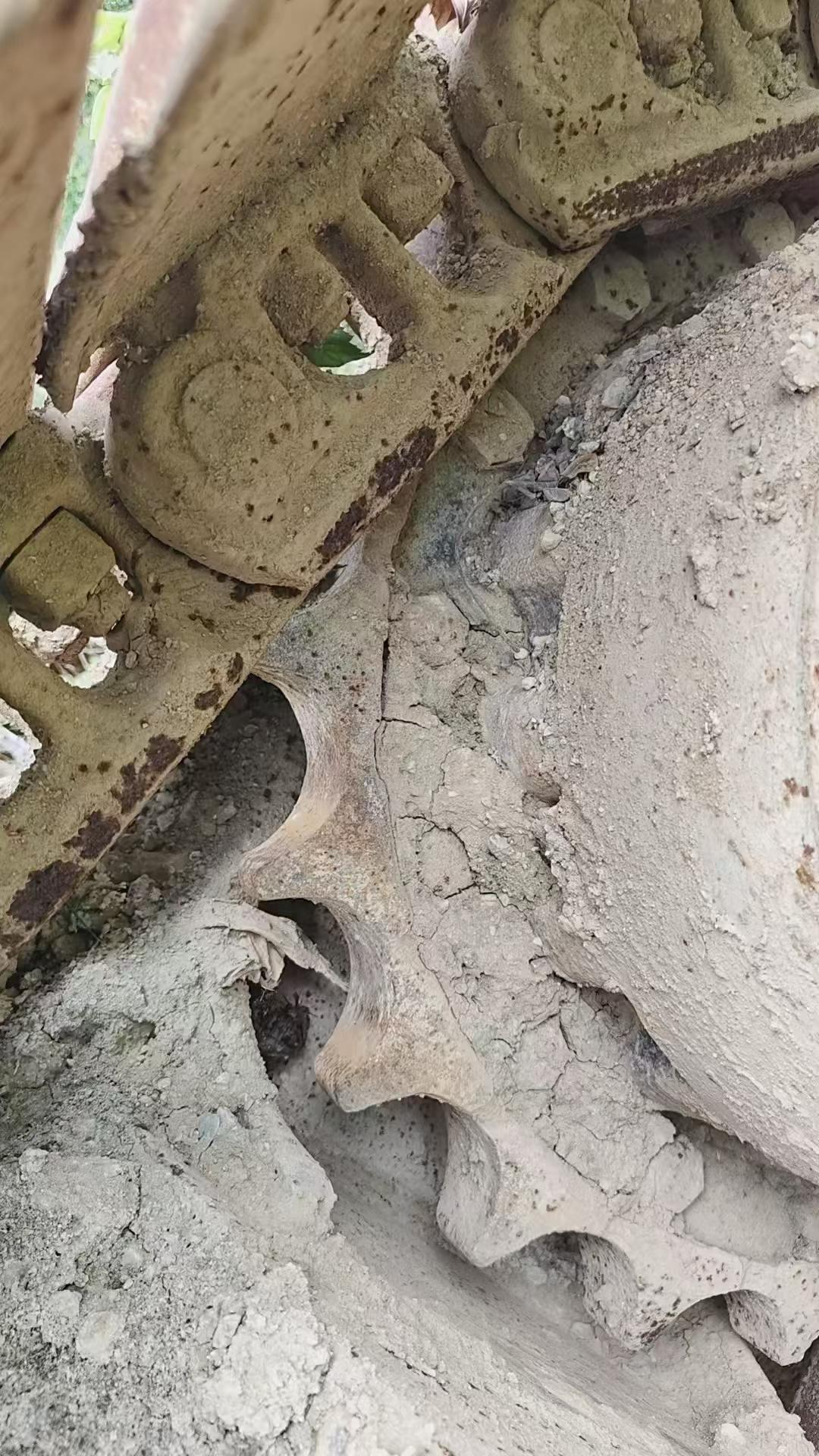 Buy Caterpillar 320V2 Used Excavator / 8 Buy Caterpillar 320V2 Used Excavator / 8