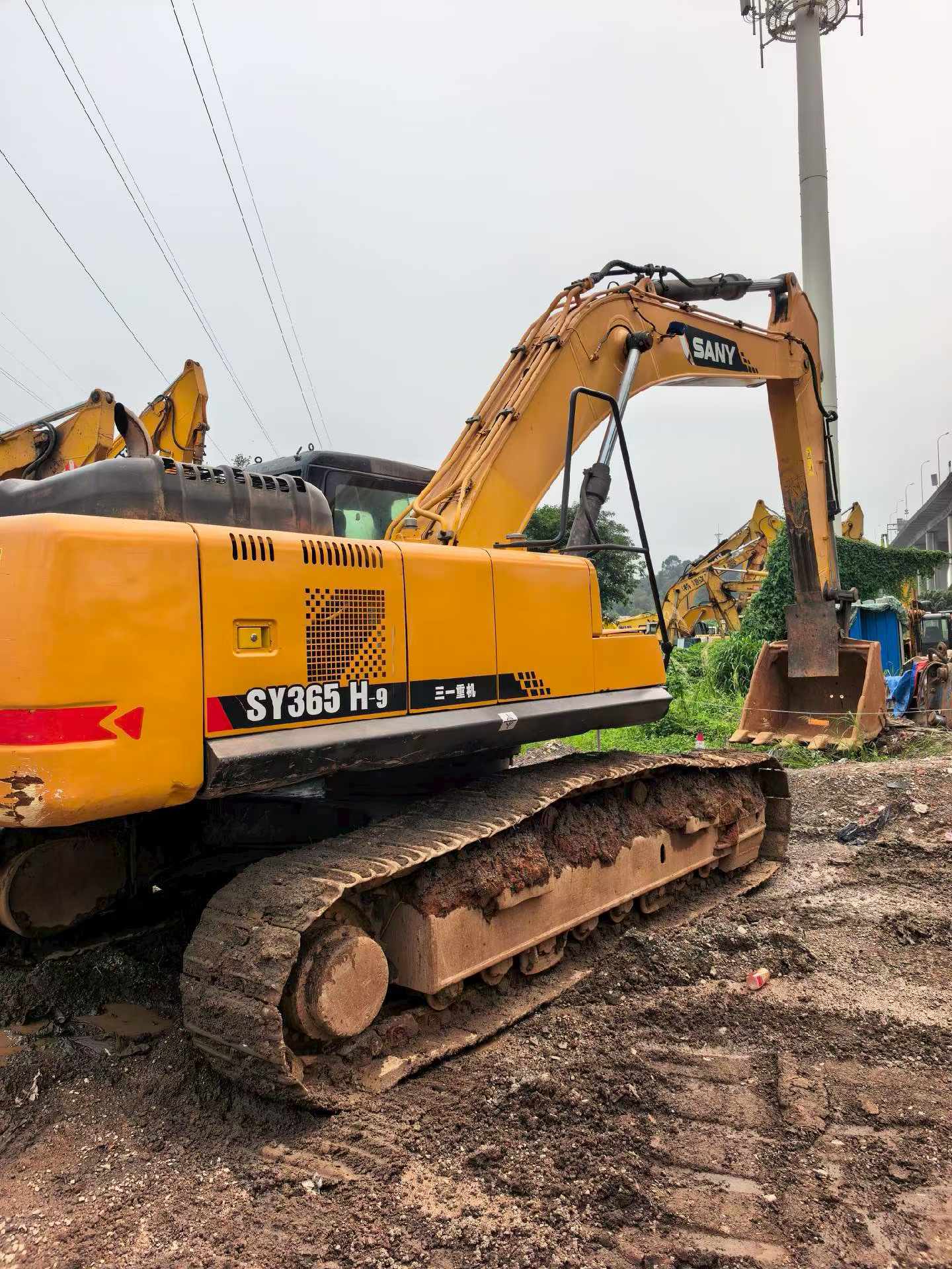 Buy Sany SY305-9 Used Excavator / 3