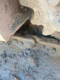 Buy Caterpillar 305.5 Used Excavator / 6 Buy Caterpillar 305.5 Used Excavator / 6