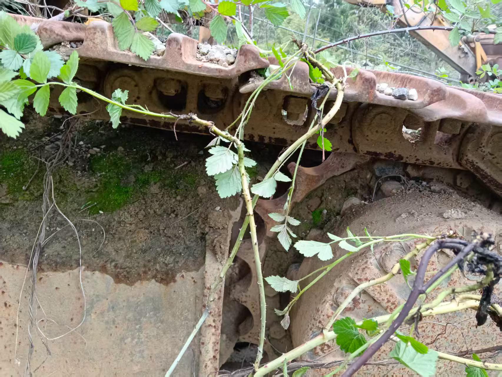 Buy Caterpillar 320V2 Used Excavator / 3 Buy Caterpillar 320V2 Used Excavator / 3