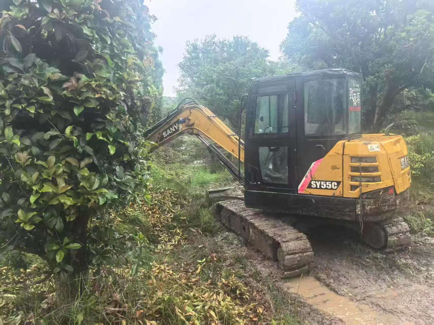 Buy Sany SY55 Used Excavator / 2