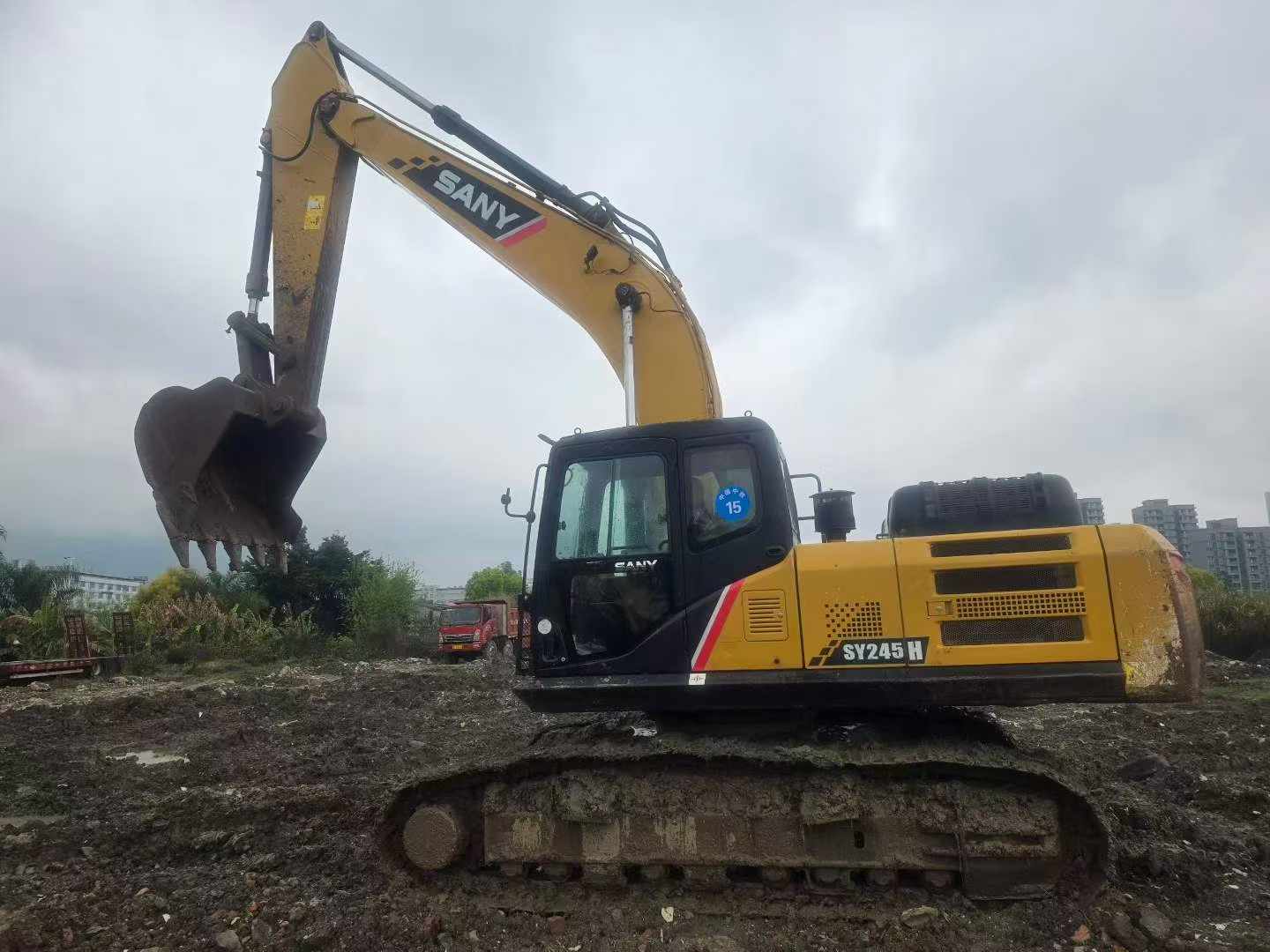 Buy Sany SY245H Used Excavator / 8