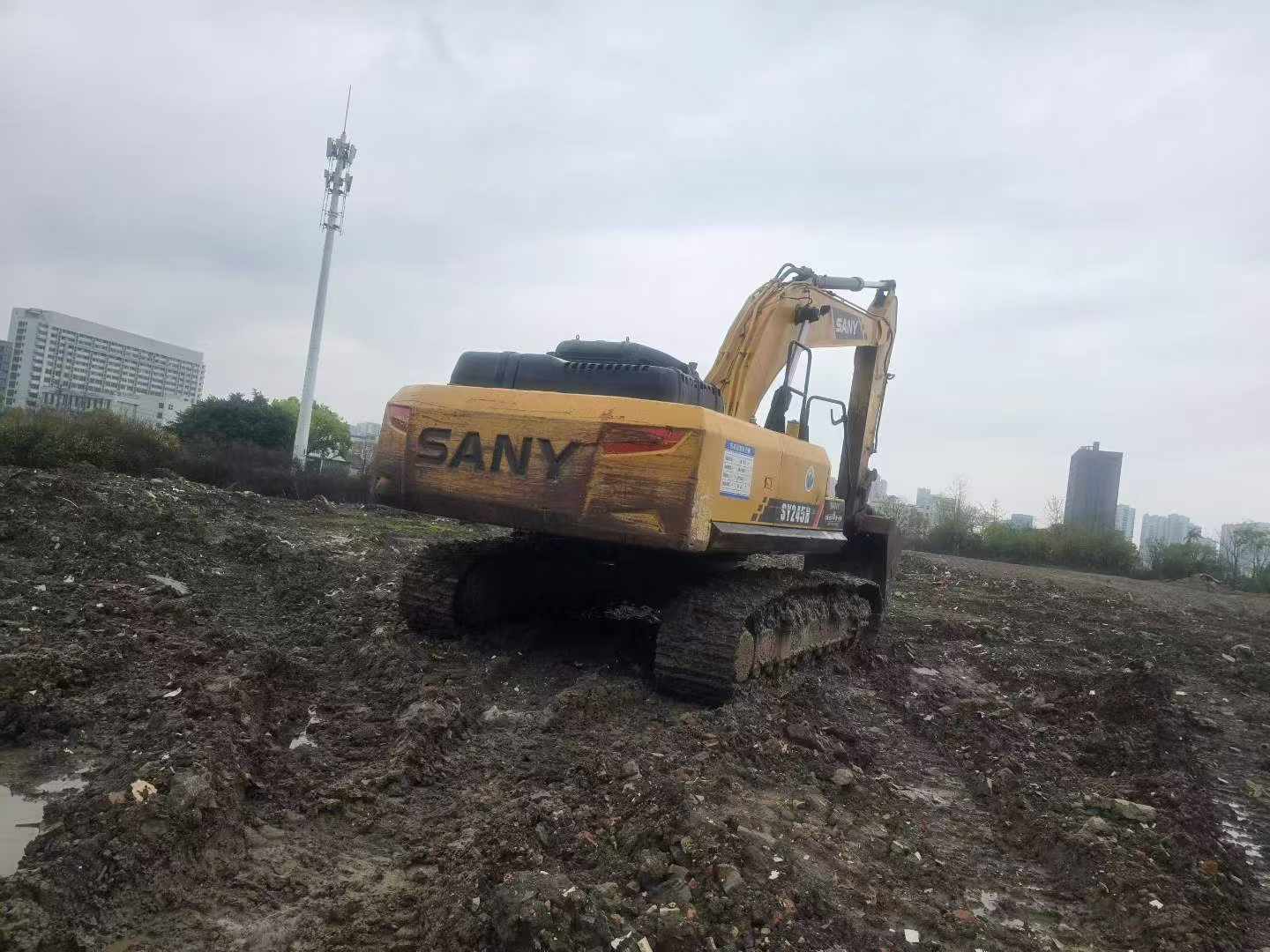 Buy Sany SY245H Used Excavator / 6