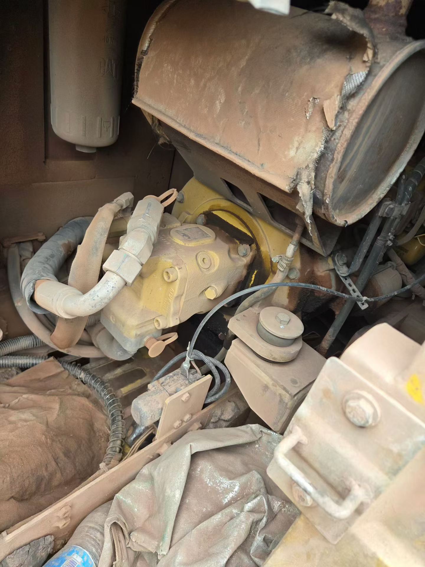 Buy Caterpillar 305.5 Used Excavator / 6
