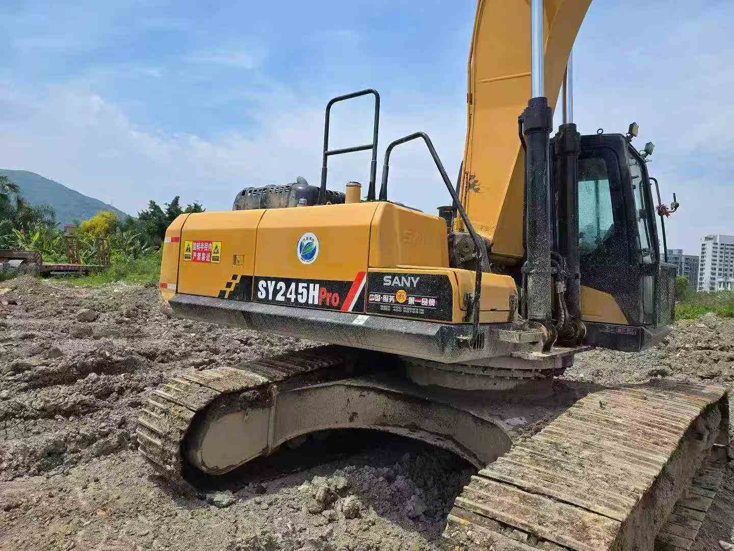 Buy Sany SY245H Used Excavator / 8