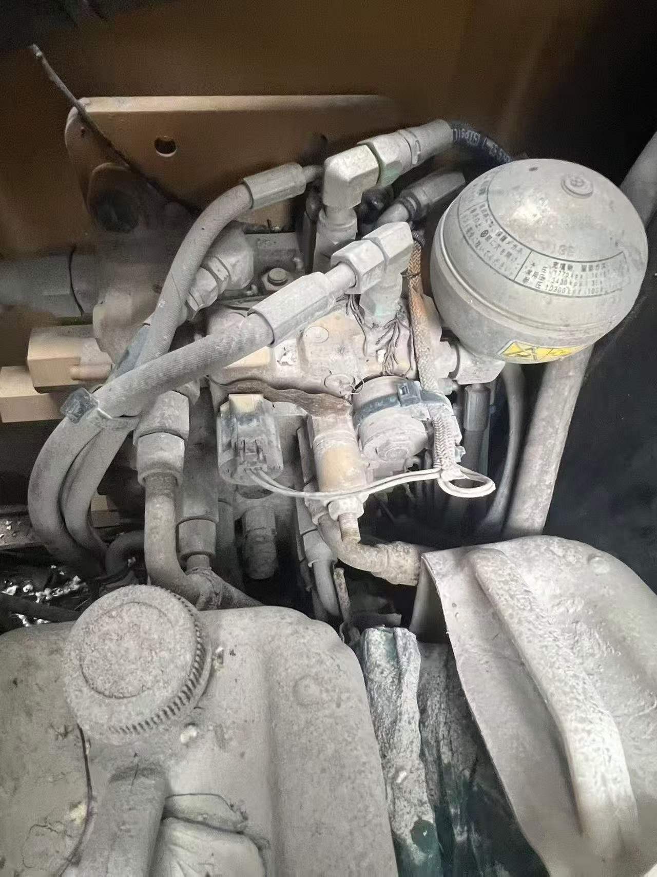 Buy Caterpillar 305.5 Used Excavator / 6