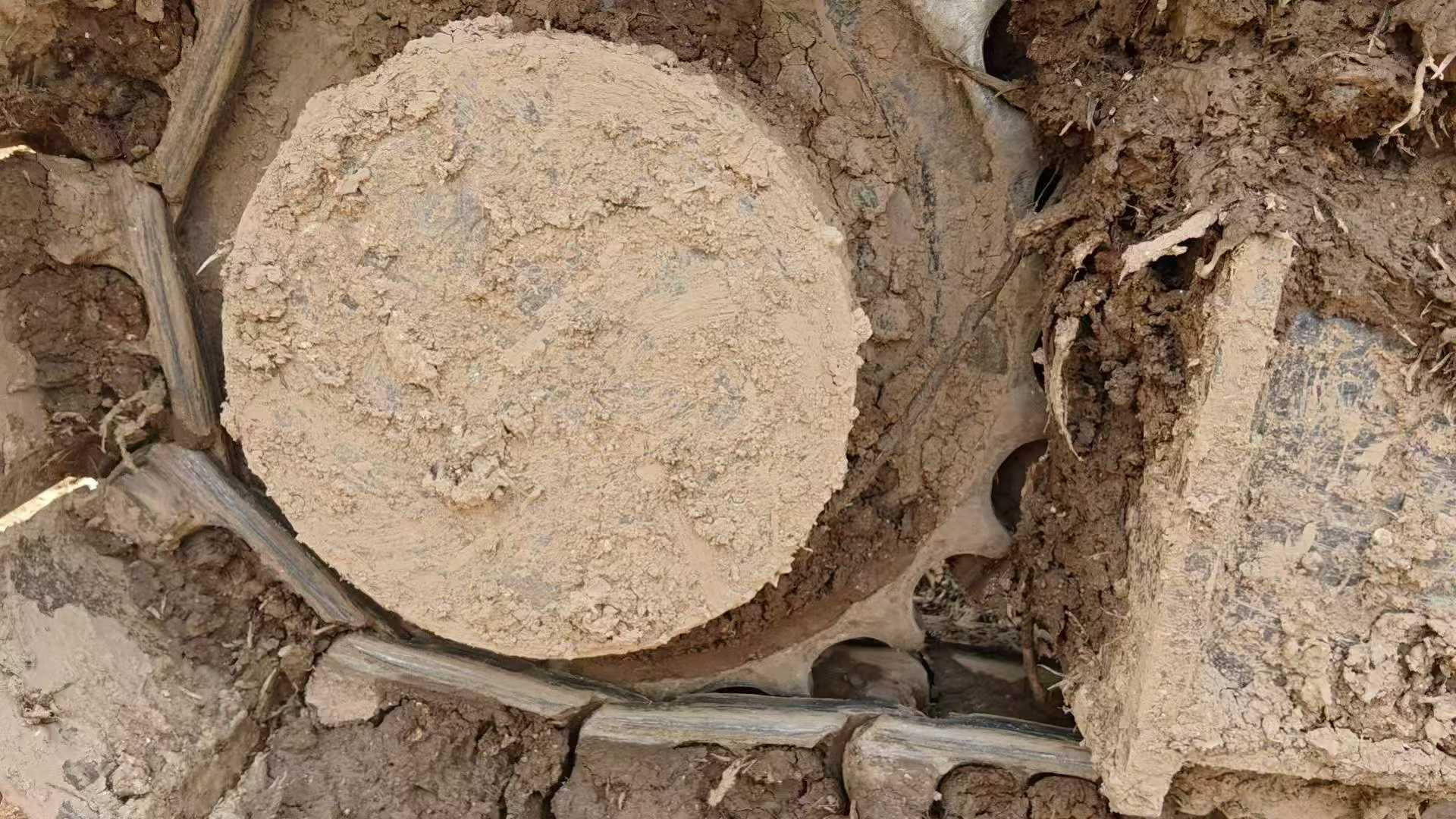 شراء حفارة Sany SY135 مستعملة / 3