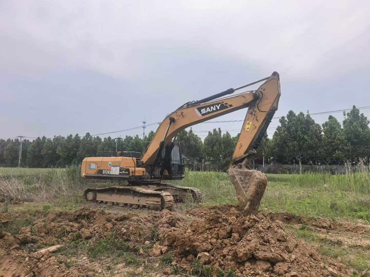 Buy Sany SY245H Used Excavator / 1