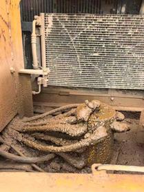 Buy Caterpillar 320C Used Excavator / 6 Buy Caterpillar 320C Used Excavator / 6