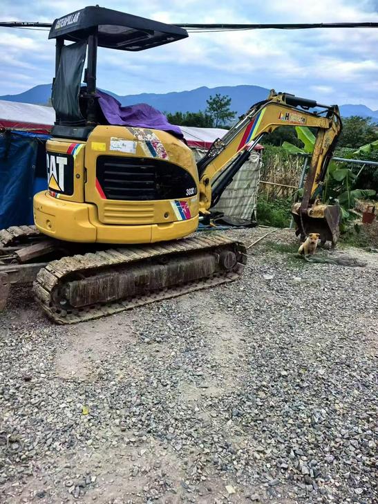 Buy Caterpillar 303CCR Used Excavator / 1