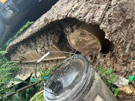 Buy Sany SY135 Used Excavator / 7 Buy Sany SY135 Used Excavator / 7