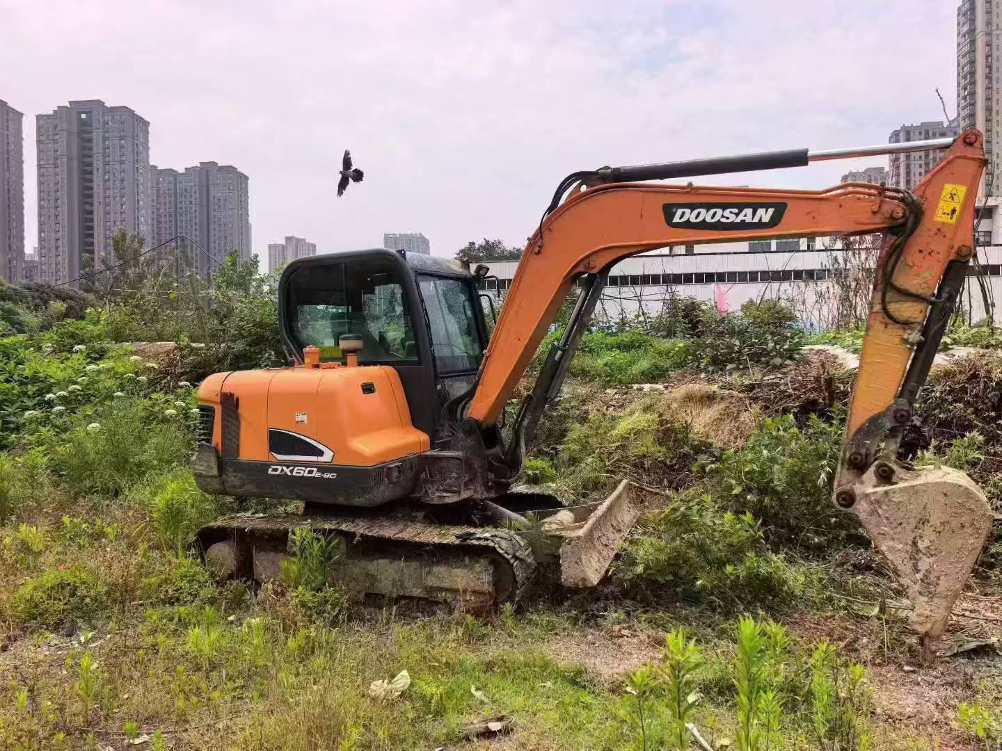 Buy Doosan DH60 Used Excavator / 3