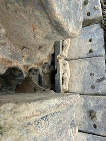 Buy Sany SY55 Used Excavator / 3 Buy Sany SY55 Used Excavator / 3