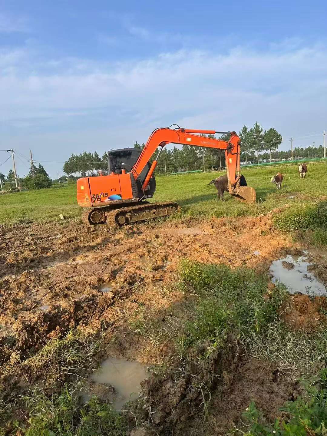 Buy Hitachi EX70 Used Excavator / 2 Buy Hitachi EX70 Used Excavator / 2