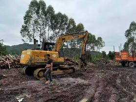 Buy Sany SY135 Used Excavator / 7 Buy Sany SY135 Used Excavator / 7