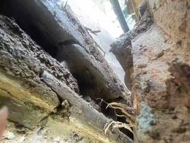 Buy Sany SY125C Used Excavator / 5 Buy Sany SY125C Used Excavator / 5