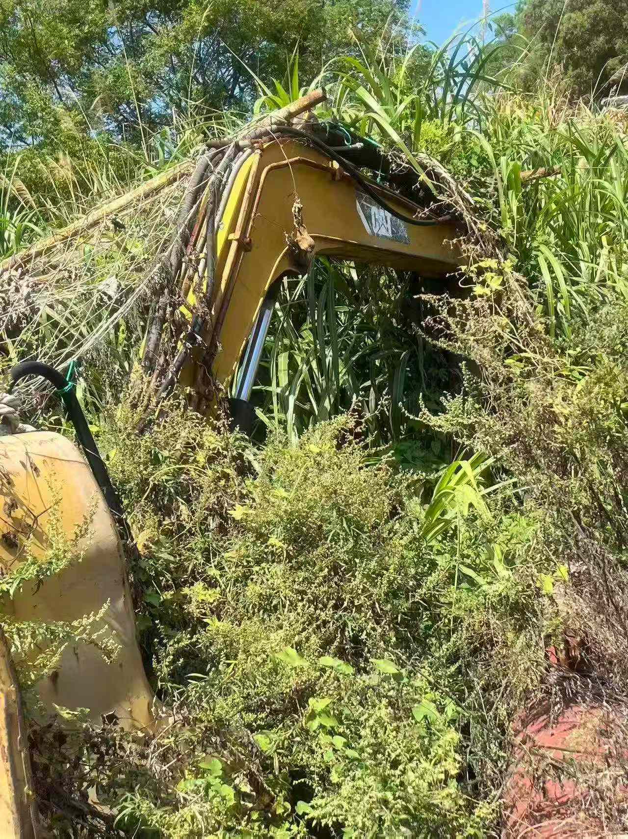 Buy Caterpillar 306D Used Excavator / 6