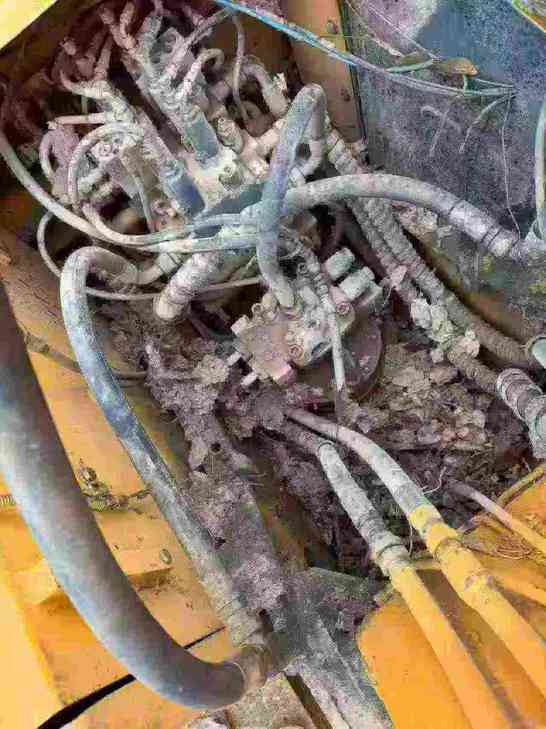 Buy Hyundai R150-7 Used Excavator / 1