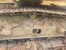 Buy Caterpillar 307B Used Excavator / 5 Buy Caterpillar 307B Used Excavator / 5