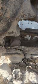 Buy Kobelco SK2008 Used Excavator / 8 Buy Kobelco SK2008 Used Excavator / 8