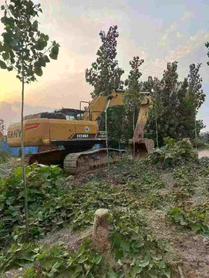 Buy Sany SY245H Used Excavator / 4 Buy Sany SY245H Used Excavator / 4