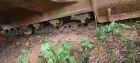 Buy Sumitomo SH120 Used Excavator / 2 Buy Sumitomo SH120 Used Excavator / 2