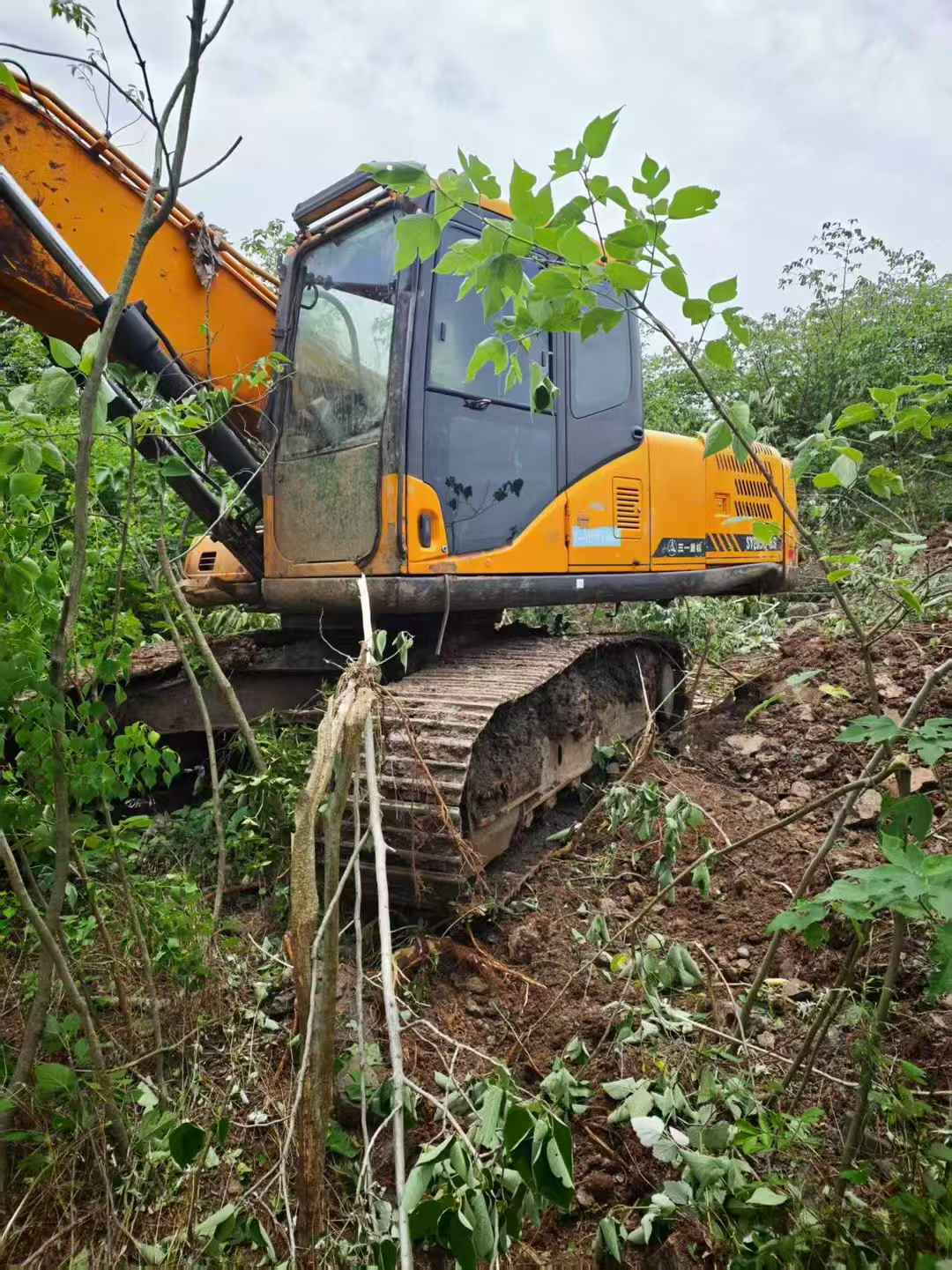 Buy Sany SY205C-8 Used Excavator / 6