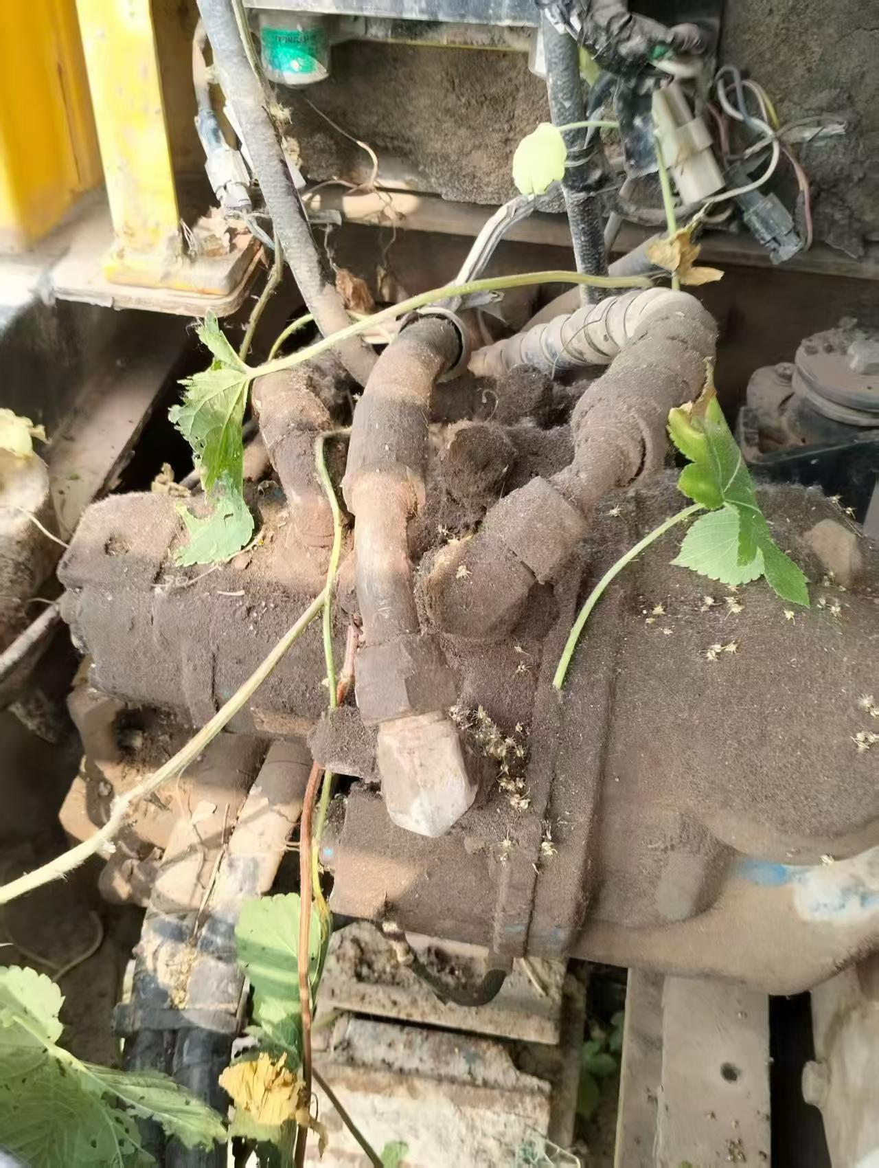 Buy Hyundai HX60 Used Excavator / 2
