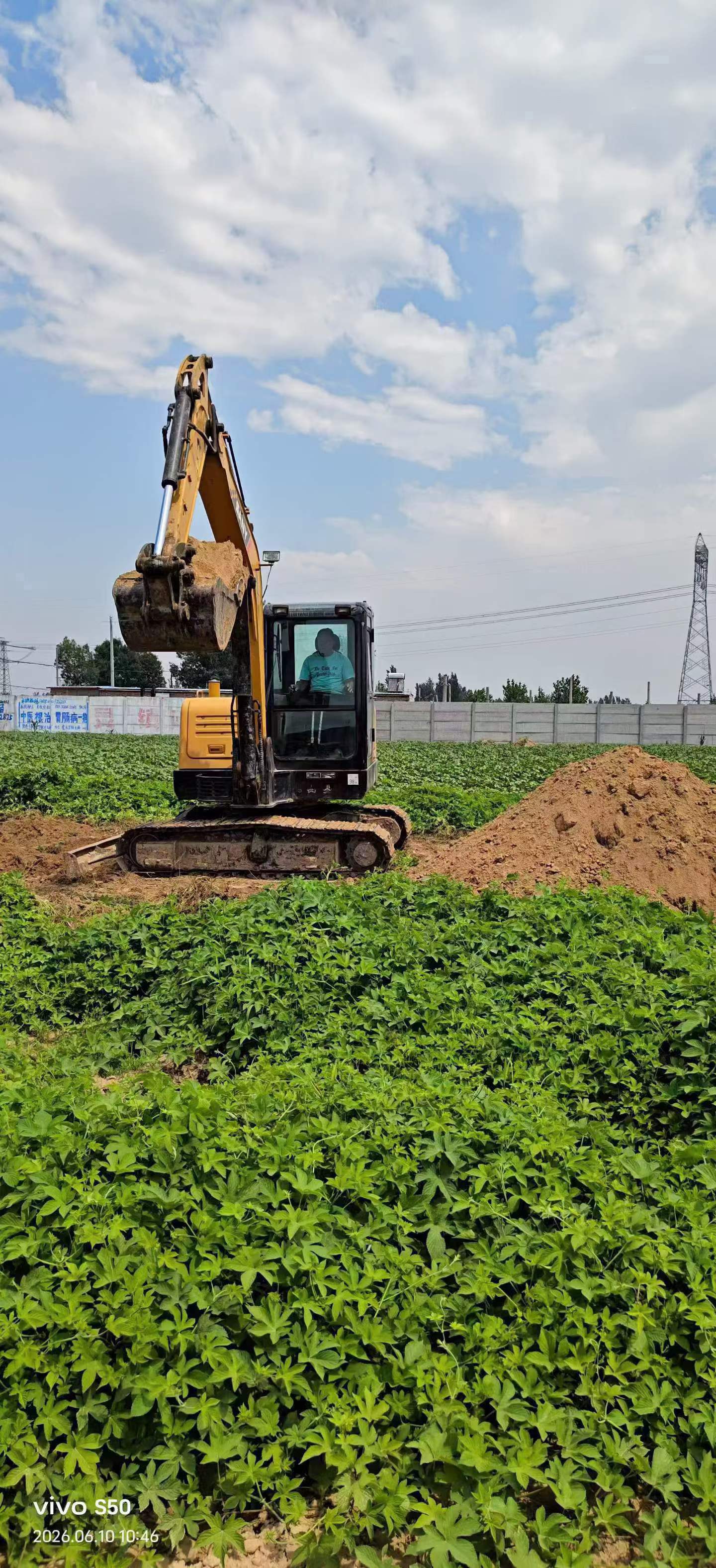 Buy Sany SY60 Used Excavator / 2