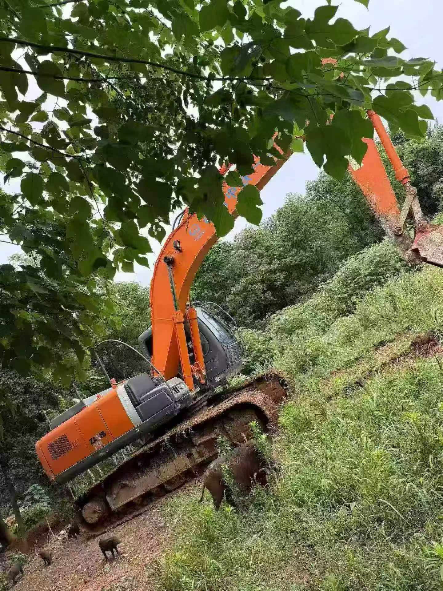 Buy Hitachi EX200 Used Excavator / 3