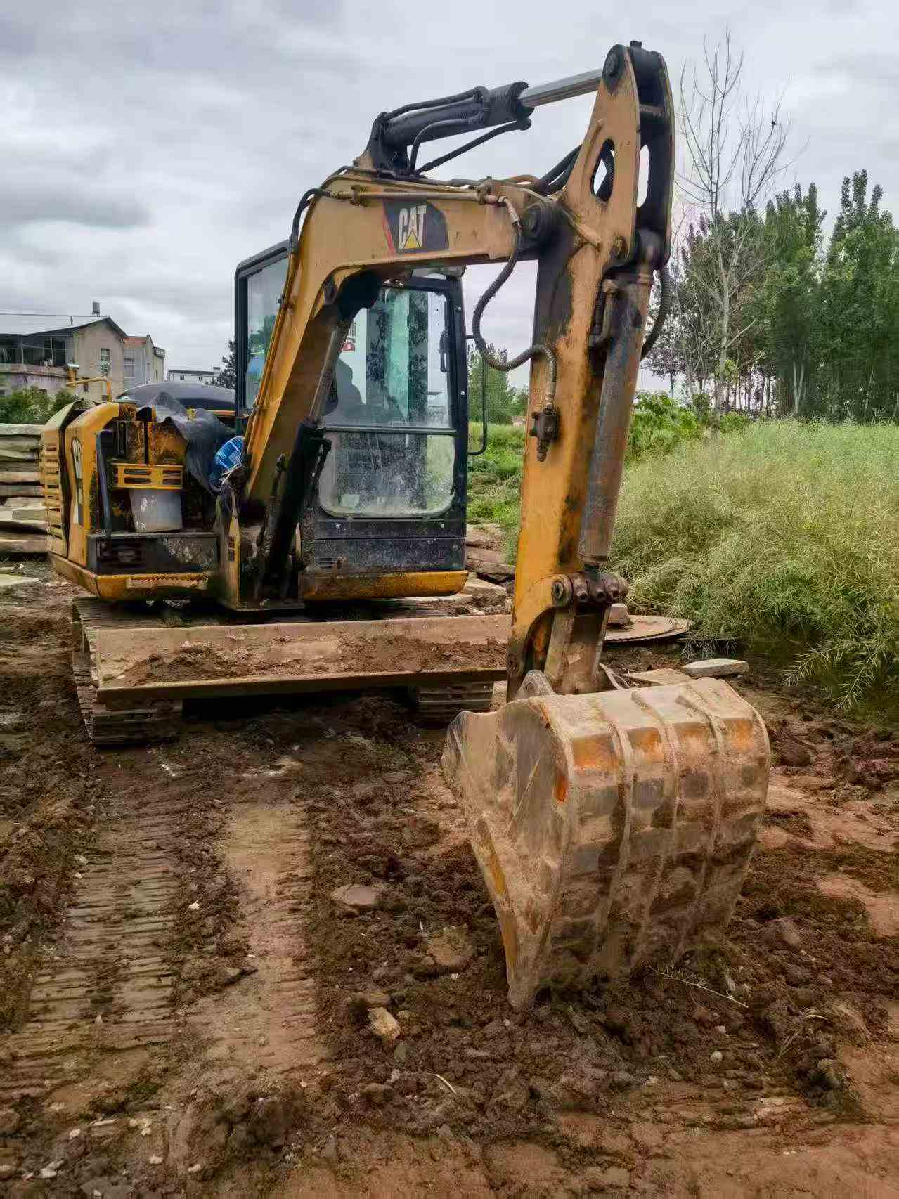 Buy Caterpillar 305.5 Used Excavator / 6